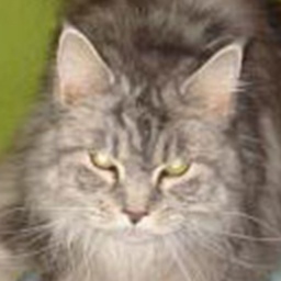 Love Hulen's Silver Vision