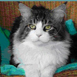 Langstteich's Calvin