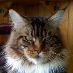 Alwaro Maverick of Homelynx