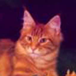 Celticpride Irishchase Shirespoint