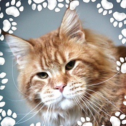 Yukon Viktoria Pride