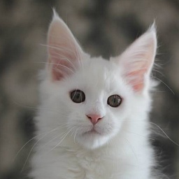 Just a Kiss Monterini