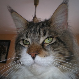 Barry White Apple Valley