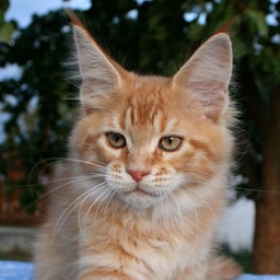 Edrik Garfield's Baby