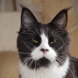 Yagga Viktoria Pride