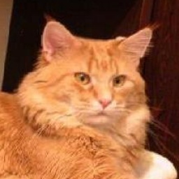 Battle Creek's Firewall