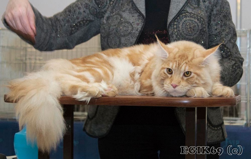 Atlant Adam Tizan - мейн-кун