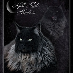 Night Hunter Monterini