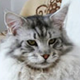 Super-Star Silverado