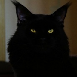 Ophirusland Pole Position