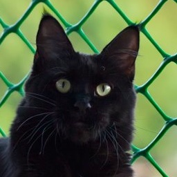 Shercoon Crystal Star