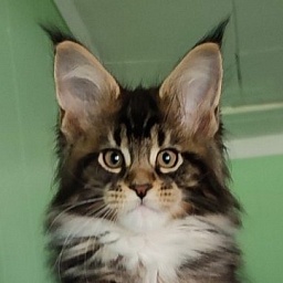 Keep me softy Monterini