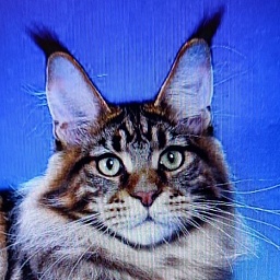 Chemicoons Kona Kai of CascadeMtn