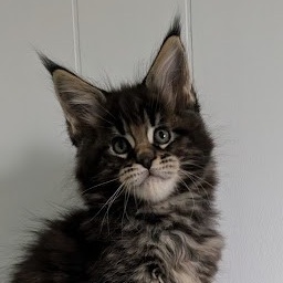 Van Helsing Monterini